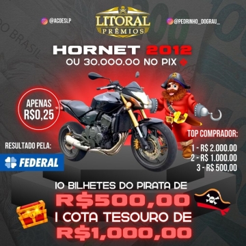 Hornet 600F