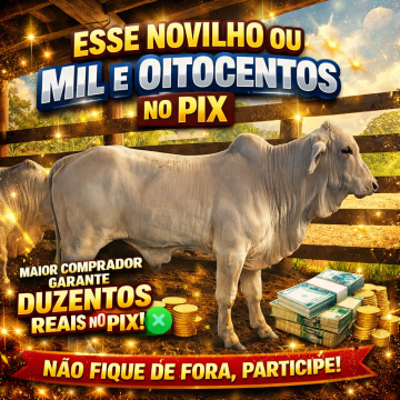 novilho mou 1800 no pix!